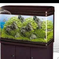 آکواریوم شیشه خم ۱۲ میل استاندارد شرکتی (بزرگ)