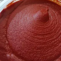 رب گوجه پخت روز به قیمت عمده /ارسال رایگان