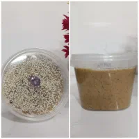 محصولات ملایر ـ شیره انگور و کشمش|خوردنی و آشامیدنی|ساوه, |دیوار