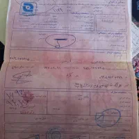 موتور سیکلت|موتورسیکلت|نظرآباد, نظرآباد|دیوار