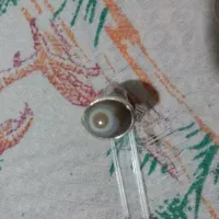 انگشتر نقره