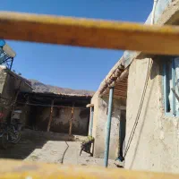 اجاره خانه|اجارهٔ خانه و ویلا|فلارد, |دیوار