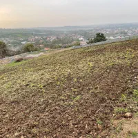زمین جاده مرداب قادیکلای