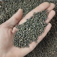 ماشک بوجاری شده قره ماش ،بذری