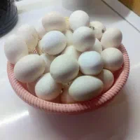 تخم مرغ محلی
