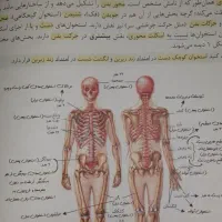 کتاب تست های کنکور معجزه مامان پاپلی