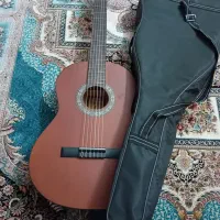 فروش فوری گیتار پارسیm3