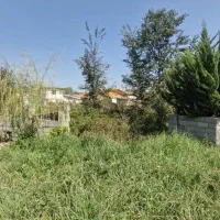 زمین مسکونی/کاملا مربع /فروش فوری