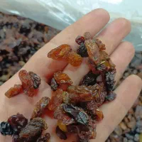 کشمش شیرین گله پاک شده و قیمت خوب