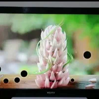 تلویزیون سونی ۴۰ اینچ