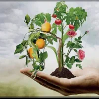 کارشناس باغ و باغبانی