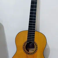 گیتار کلاسیک DM1