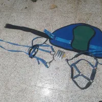 زین و دهنه اسب
