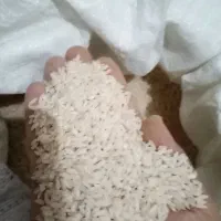 برنج عنبربو محلی مال شوشتر وشیروان