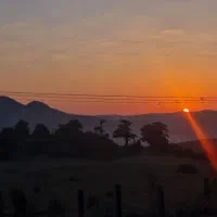 زمین مسکونی انتهای دانشجوی ۸