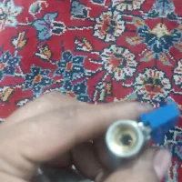 شیرپیسوار