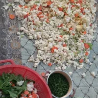 ترشی خونگی