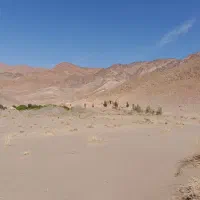 مزرعه|فروش زمین و ملک کلنگی|اردکان, |دیوار