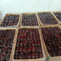 فروش خرما مضافتی