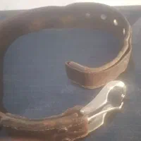 قلاده چرمی سگ|لوازم جانبی حیوانات|وحیدیه, |دیوار