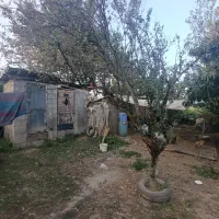 1000مترمربع کامل مسکونی با پروانه امتیازهانصب|فروش زمین و ملک کلنگی|شفت, |دیوار