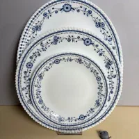 سرویس ۲۵پارچه آرکوپال دینو