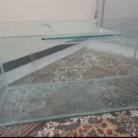 اکواریوم|ماهی|بندر امام خمینی, |دیوار