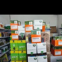 خرید و فروش بذر چغندر قند به صورت عمده و خرده