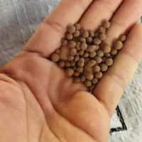 کود کامل ماکرو گرانوله|گل و گیاه طبیعی|نورآباد ممسنی, |دیوار