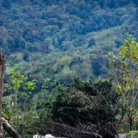 250مترویلا مدرن نوساز کوهپایه جنگلی|فروش خانه و ویلا|فومن, |دیوار