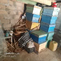 کندوی عسل