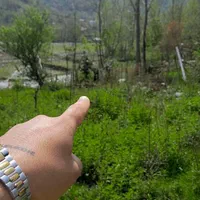 زمین مسکونی دردل طبیعت ۲۶۰متر با چشم انداز اختصاصی