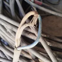 کابل3در25تمام مس|ابزارآلات|شیراز, داریون|دیوار