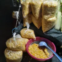 ذرت مکزیکی شیرین