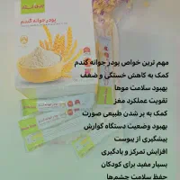 پودر جوانه گندم چاقی صورت صد درصد تضمینی|خوردنی و آشامیدنی|مشهد, رده|دیوار