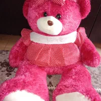 فروش خرس بزرگ