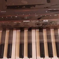 ارگ pa4درحد|پیانو، کیبورد، آکاردئون|بیستون, |دیوار