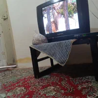 اجاره روزانه/هفتگی/آپارتمان ۵۰ متری بلوار نصر|اجارهٔ کوتاه‌مدت آپارتمان و سوئیت|شیراز, طلاب|دیوار