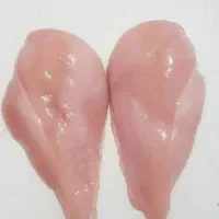 فروش شنسل سینه