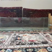 سلام یک عدد اکوریم و تنگ ماهی