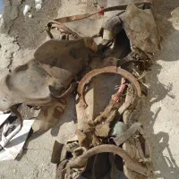 تجهیزات اسب