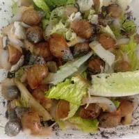 پرورش حلزون +15درآمد کار در خانه