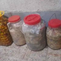 ترشی خانگی|خوردنی و آشامیدنی|ری, سیزده آبان|دیوار