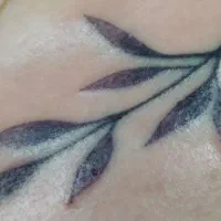 آرایش دائم