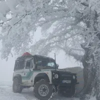 پاژن  افرودی آس