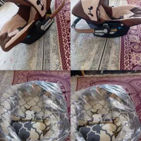 کریروتشک بازی
