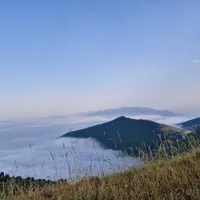 فلش پیدا شده