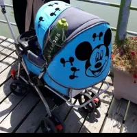 کریر و کالسکه و روروئک و تاب سالم|کالسکه و لوازم جانبی|تهران, شهرک شهید رجایی (کوی نوبنیاد)|دیوار