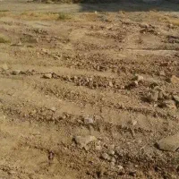 زمین-مسکونی