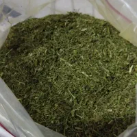 شوید خشک وانواع سبزی خشک موجود است